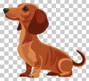 Animated Dog - Realistically Illustrated Dachshund Puppy PNG
