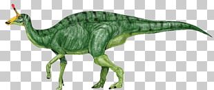 Tsintaosaurus Amurosaurus Jaxartosaurus Iguanodontia Corythosaurus PNG