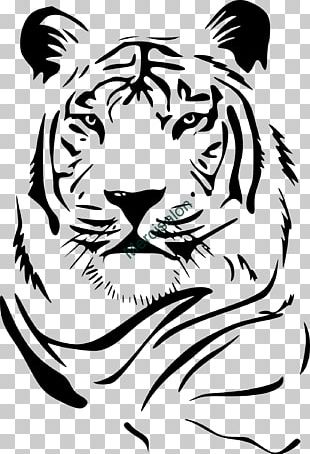 Lion Wall Decal Tiger Sticker PNG, Clipart, Art, Circle, Decal ...