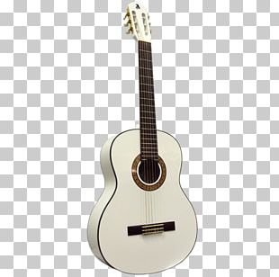 Classical Guitar Acoustic Guitar Acoustic-electric Guitar Dreadnought PNG