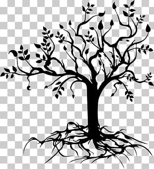 Drawing Tree Of Life PNG, Clipart, Art, Black, Black And White, Circle ...