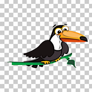 Bird Beak Toucan Cartoon Piciformes PNG