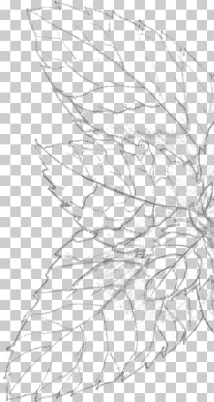 Sketch Pattern Line Art Point Angle PNG