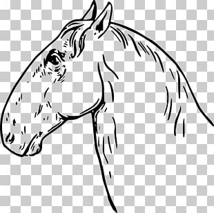 Drawing Horse & Hound Arabian Horse Horse Head Mask PNG, Clipart ...