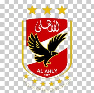 Desouk SC Desouk Stadium 2016-17 Egypt Cup Qualifying ...