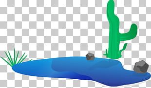Cactaceae Designer PNG