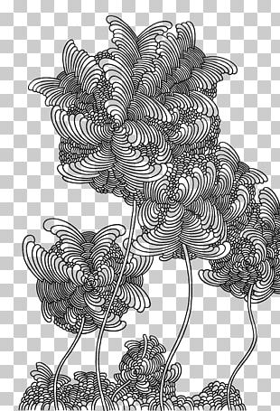 Floral Design Drawing Visual Arts Adidas Store PNG