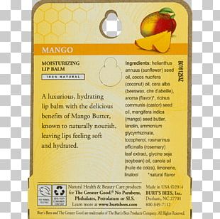 Lip Balm Burt's Bees PNG
