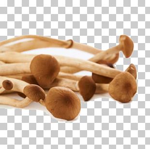 Crab Common Mushroom Edible Mushroom PNG