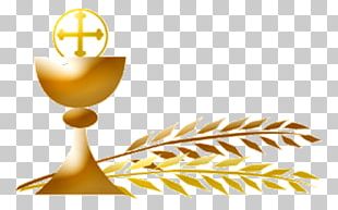 First Communion Eucharist PNG, Clipart, Balloon, Baptism, Beauty, Black ...