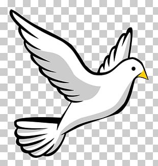 Doves As Symbols Baptism Holy Spirit First Communion Peace PNG, Clipart ...