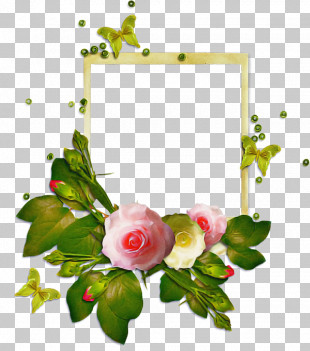 Frames Garden Roses PNG, Clipart, Blossom, Border Frames, Depositfiles ...