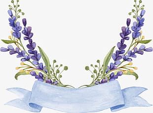 Lavender PNG