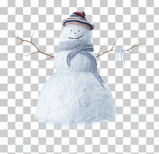 Winter Snowman PNG, Clipart, Child, Children, Children Frame, Childrens ...