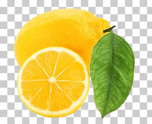 Lemon PNG, Clipart, Lemon Free PNG Download