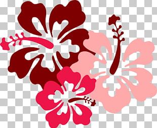 Cuisine Of Hawaii Flower PNG, Clipart, Aloha, Art, Cuisine Of Hawaii ...