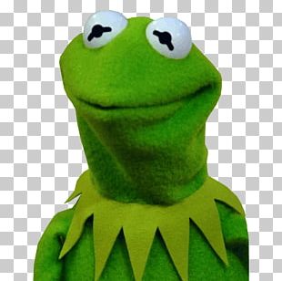 Kermit The Frog Telegram Sticker PNG, Clipart, Amphibian, Animals, Area ...