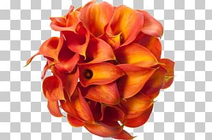 Arum-lily Flower Bouquet Callalily Lilium PNG