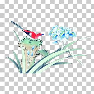 Chinese Painting Bird-and-flower Painting PNG