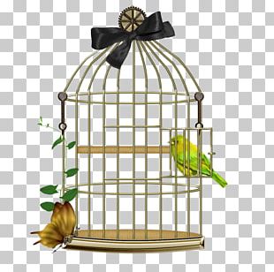 Birdcage Parrot PNG, Clipart, Animals, Bird, Bird Cage, Birdcage, Cage ...