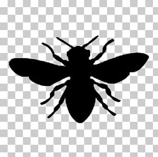 Honey Bee Logo European Dark Bee PNG, Clipart, Bee, Bee Bee, Beehive ...