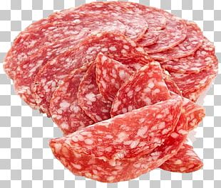 salami clipart