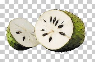 Soursop Png Images Soursop Clipart Free Download