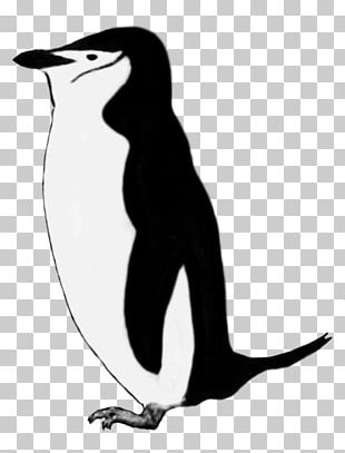 emperor penguin clipart black and white apple