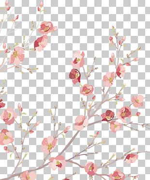 Cherry Blossom Watercolor Painting Drawing PNG, Clipart, Art, Blossom ...