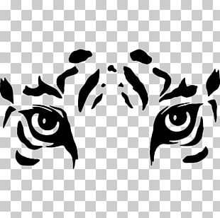 Drawing White Tiger PNG, Clipart, Angry, Angry Tiger, Bengal Tiger, Big ...