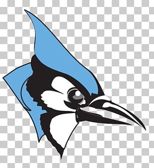 Johns Hopkins Blue Jays Png Images Johns Hopkins Blue Jays Clipart Free Download