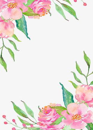 Rose Borders PNG, Clipart, Borders Clipart, Bud, Decoration, Flowers ...