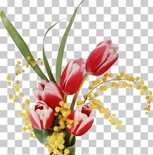 Laptop Desktop Flower Tulip 1080p PNG