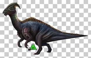 Tyrannosaurus Velociraptor Extinction Terrestrial Animal PNG
