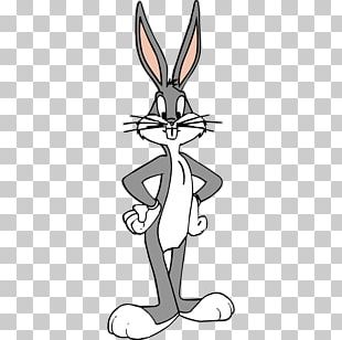 Lola Bunny Bugs Bunny Logo Looney Tunes Toon PNG, Clipart, Area, Ball ...