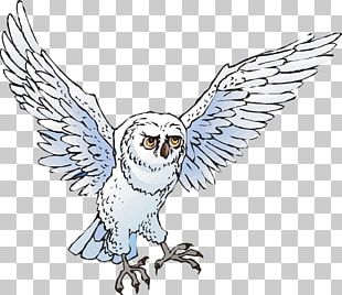 CRMla: Cute Snowy Owl Clipart