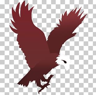 Logo Eagle PNG, Clipart, American Eagle Outfitters, Animals, Bald Eagle ...