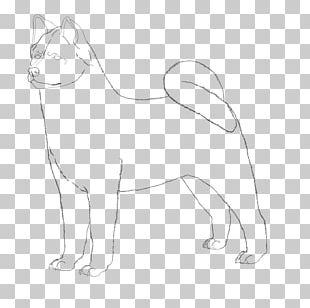 Dog Breed Whiskers Cat Akita Japanese Spitz PNG