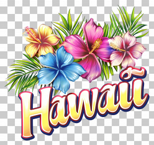 Hawaii - Bright Hawaiian Hibiscus Flowers Design PNG