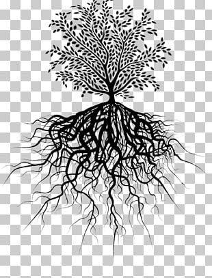 Stock Photography Tree Of Life Root PNG, Clipart, Art, Artwork, Black ...