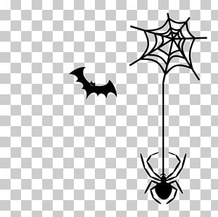 White Spider Web PNG, Clipart, Animal, Animals, Arthropod, Biological,  Black Free PNG Download