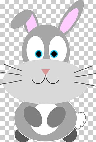 Domestic Rabbit Cat Hare PNG, Clipart, Animal, Animals, Cat, Cuteness ...