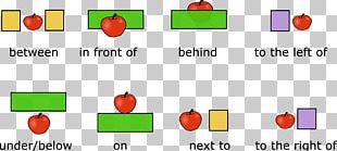 Preposition And Postposition Pronoun English Grammar Word PNG, Clipart ...