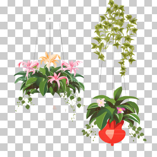 Hanging Plant With Pot - Hanging Plants With Ivy And Flowers PNG
