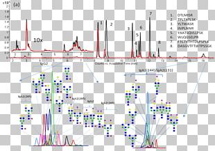 Glycan Glycomics Glycosylation Glycome Systems Biology PNG
