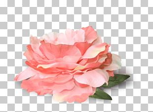 Portable Network Graphics Flower Garden Roses PNG
