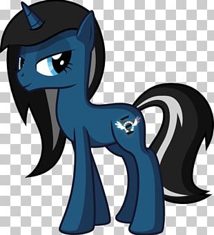 My Little Pony Twilight Sparkle Rainbow Dash PNG