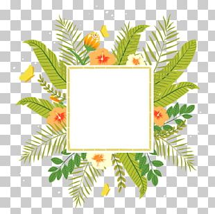 Tropics Flower PNG