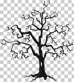 Plant Line Art Tree PNG, Clipart, Branch, Christmas, Christmas ...