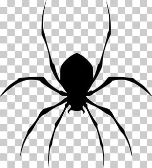 Black House Spider PNG Images, Black House Spider Clipart Free Download